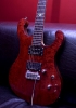 Guitars - SNT